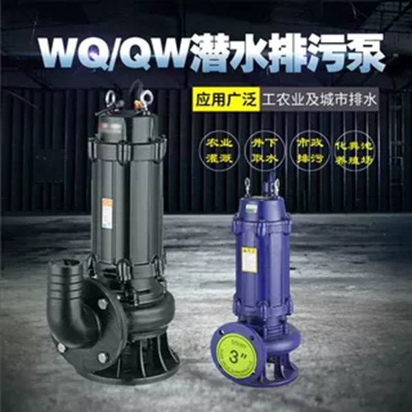 WQ National standard flanged sewage pump